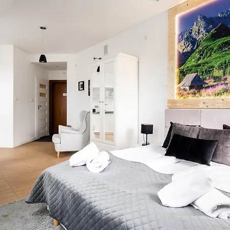 Apartament Delta Boutique Kościelisko